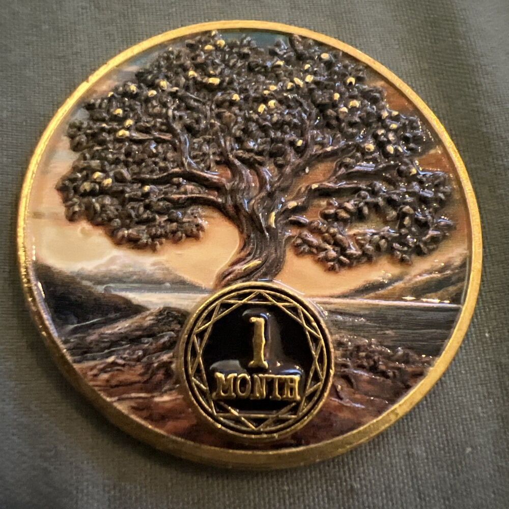 1 Month Tree AA NA Sobriety Coin Recovery Chip Sober Anniversary Token